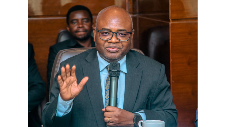 TANZANIA NA WORLD GOLD COUNCIL KUONGEZA THAMANI DHAHABU