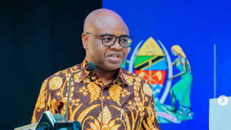 DIRA 2050 KUZINDULIWA TAREHE 17 JULAI, 2025 - PROF. MKUMBO