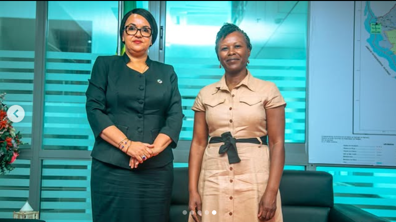 TANZANIA NA UN KUIMARISHA USHIRIKIANO WA KIUCHUMI NA UWEKEZAJI